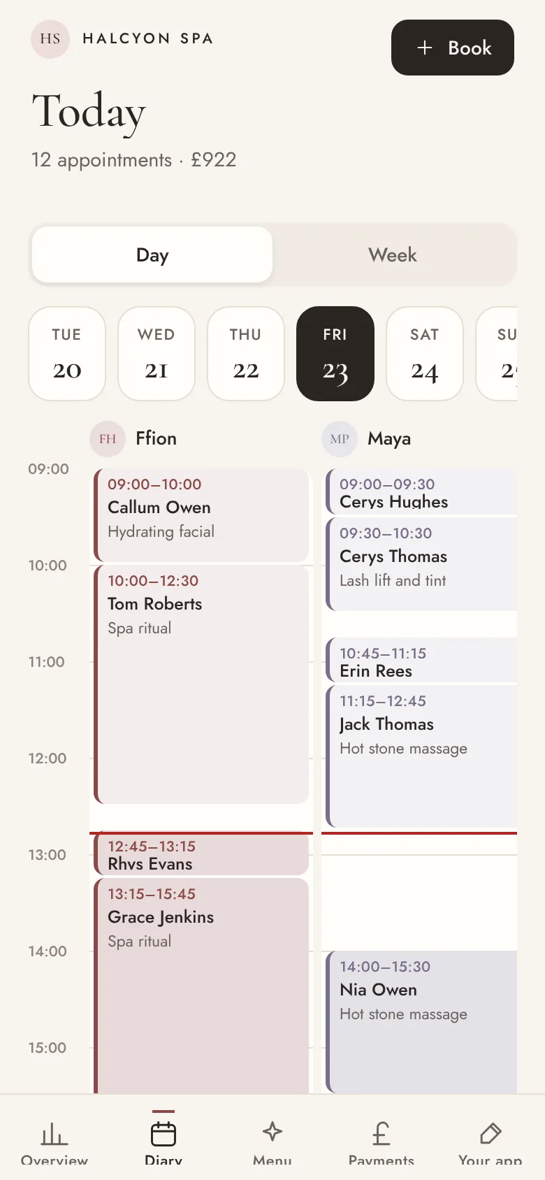 The diary for Friday, with Ffion's and Maya's columns of facials, massages and lash lifts